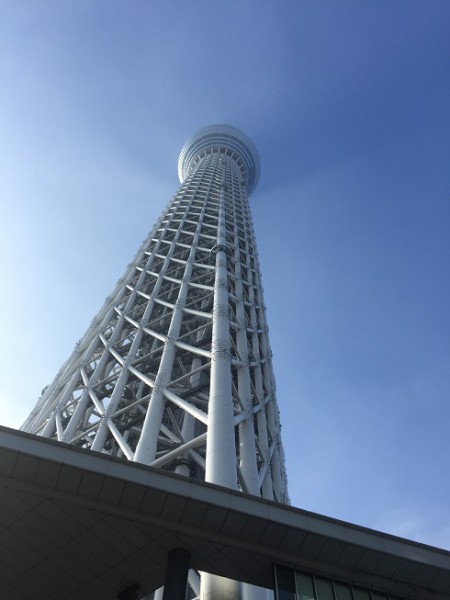 2016 (11)
